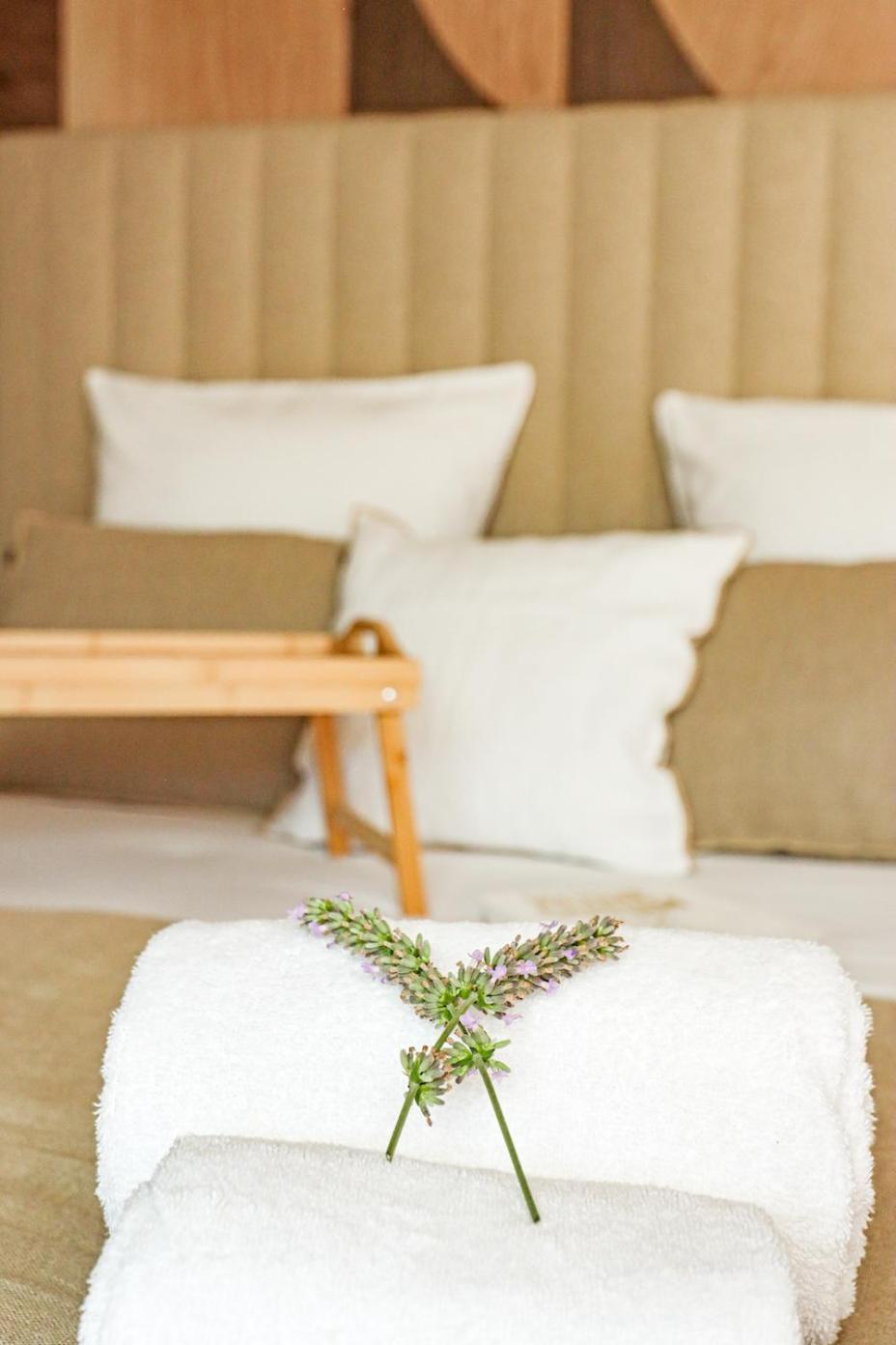 Malves-en-Minervois Les Gites De Laure - L'Eden Romantique, Chambres Hotes, Spa Prive, Couloir De Nage, Adults Only المظهر الخارجي الصورة